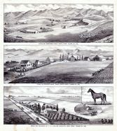 T.D.A. Collins Ranch and Residence, Spangler Bros' Ranch, Zimmerman Ranch, Tulare County 1892